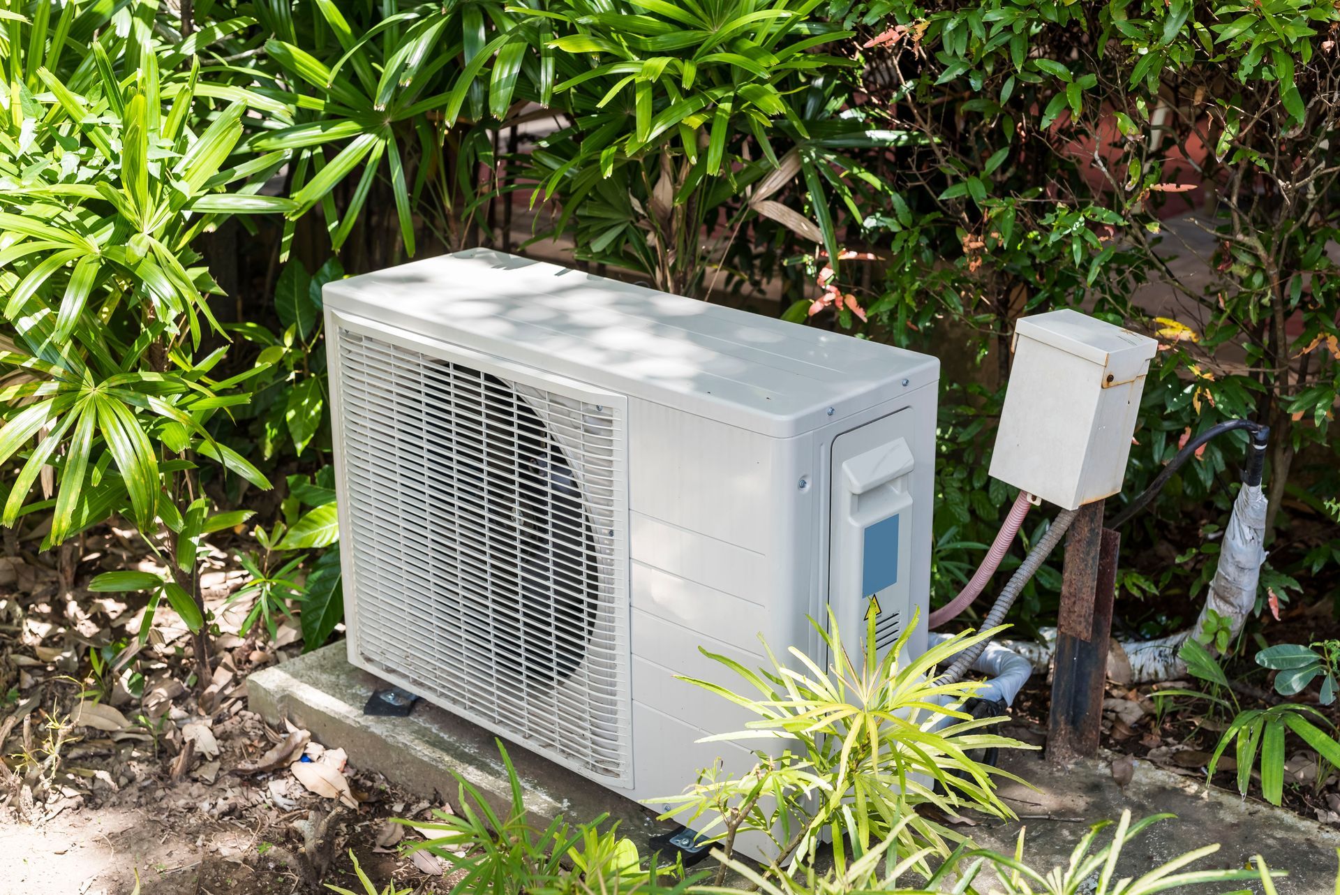 A beige residential air conditioning condenser unit sits on a concrete pad surrounded by lush green foliage.