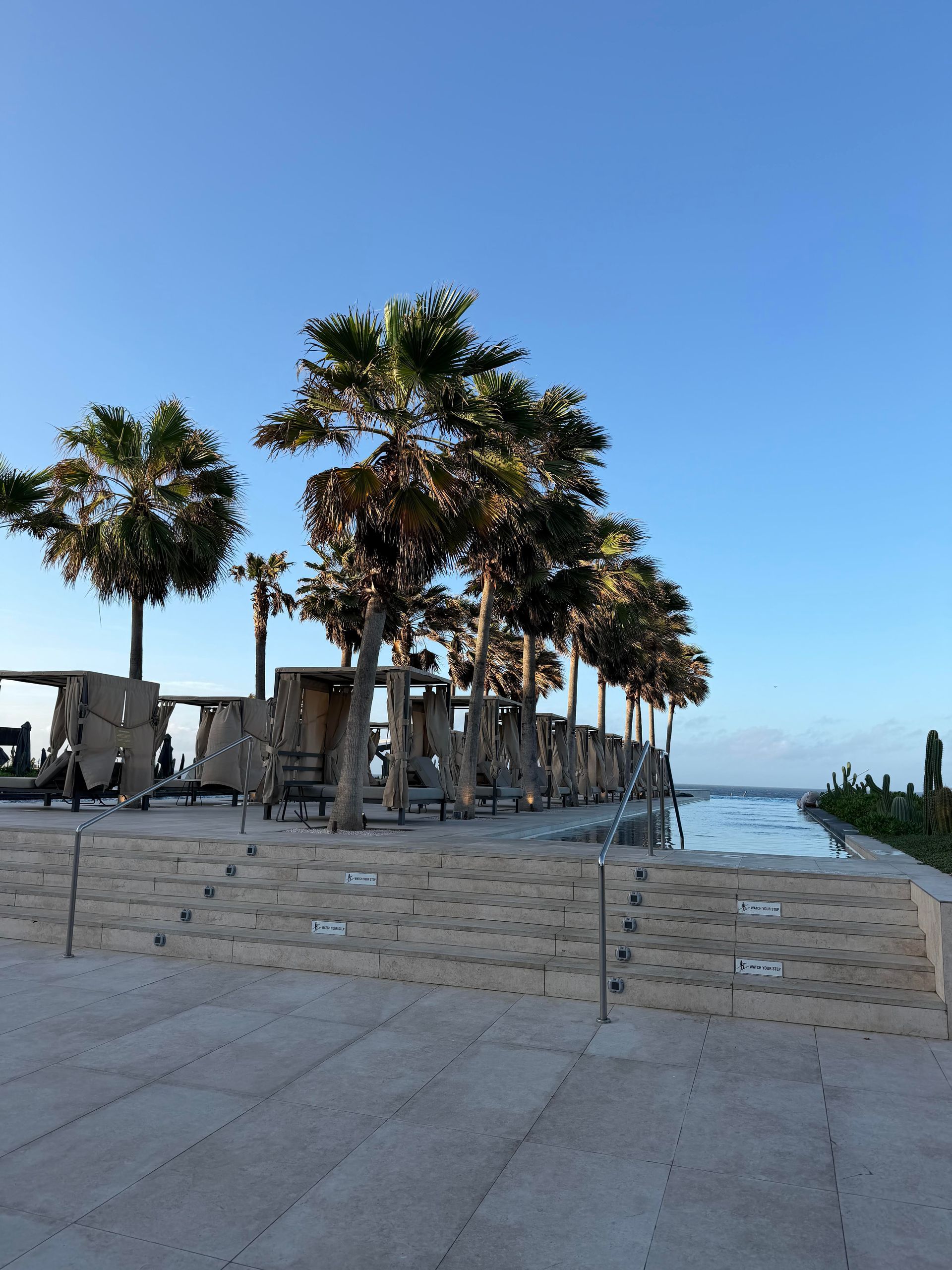 Palm-lined stone walkway beside the sea under a clear blue sky