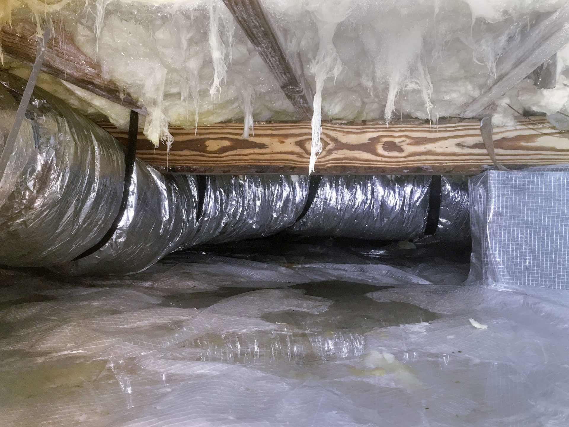 Crawl Space Moisture in Hampton Roads: What Actually Works (and What ...
