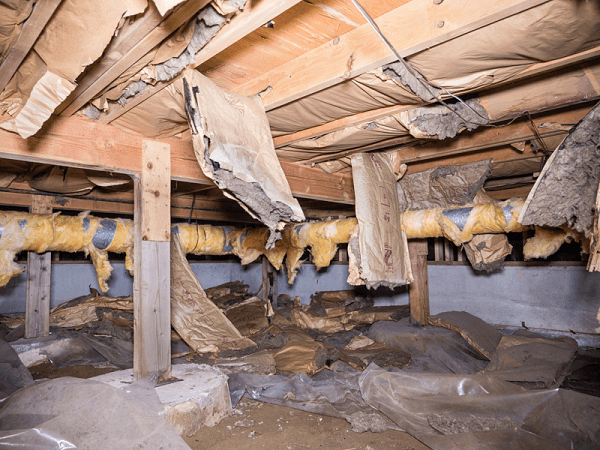 Damaged crawl space; insulation, wood, and vapor barrier are torn and decaying.