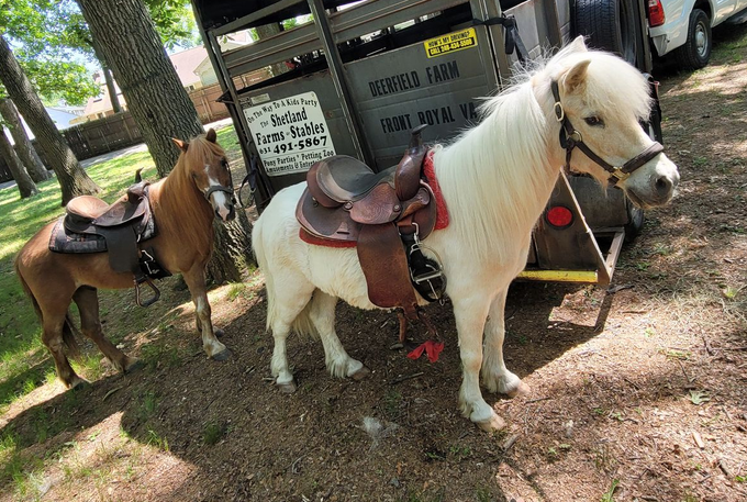 Child riding a white-and-brown pony in an outdoor arena, wearing a helmet and purple saddle blanket