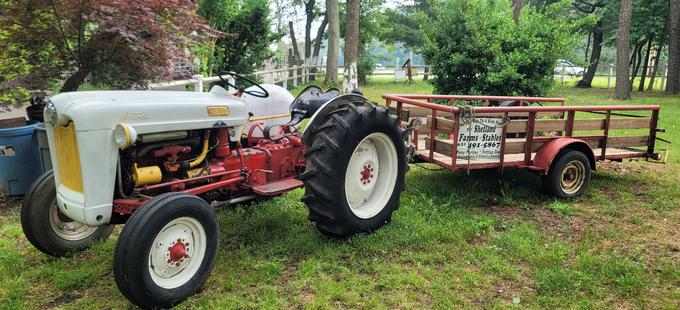 Vintage white tractor hitched to a red utility trailer on grass, with trees in the background