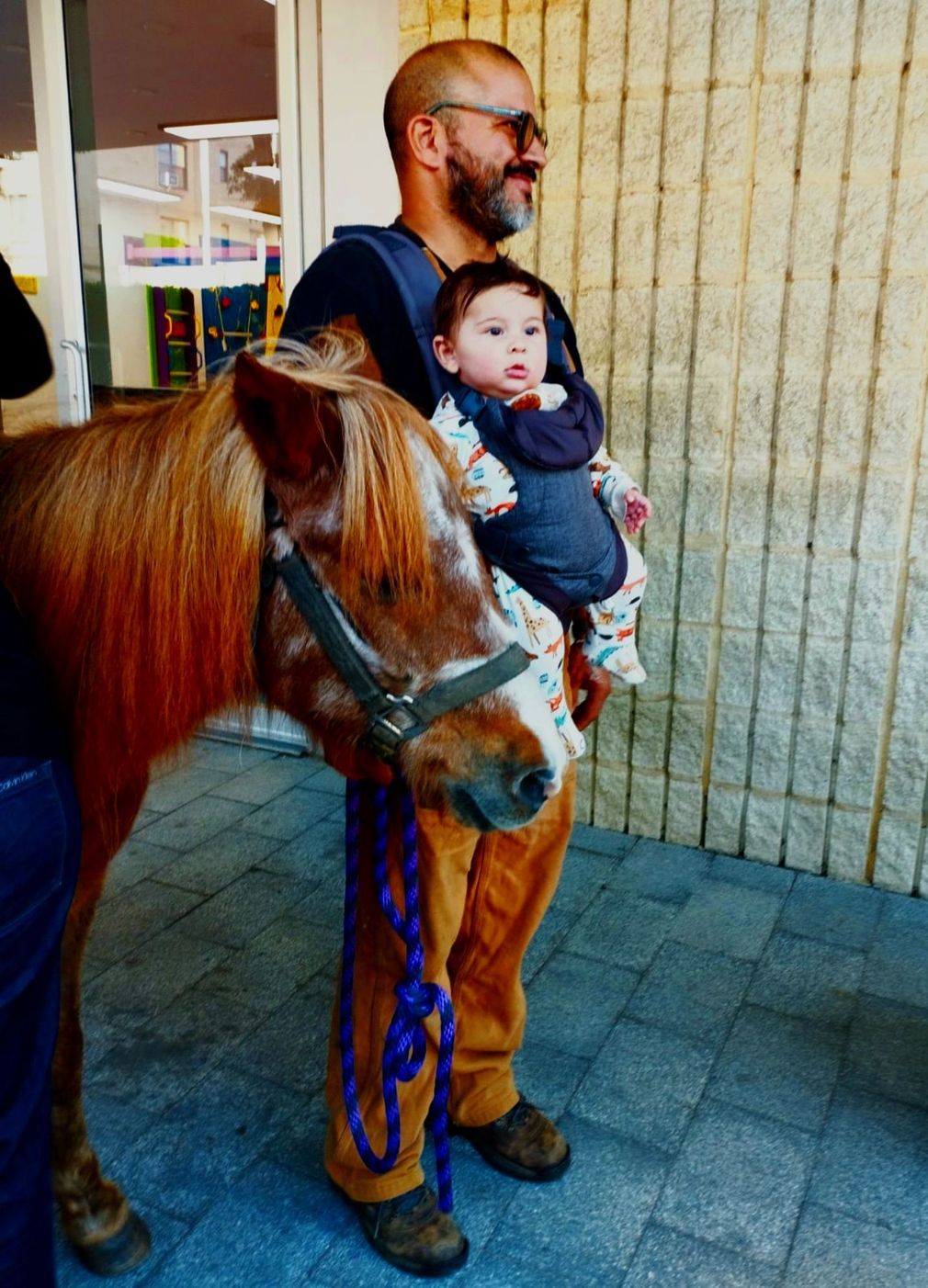 Children in colorful jackets watch a man lead a small pony at an outdoor school event