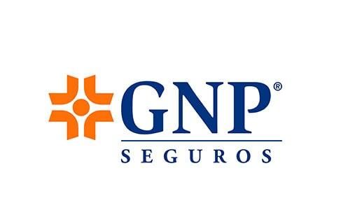 GNP