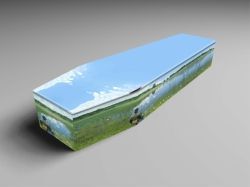 blue colored casket