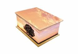 sunrise printed casket