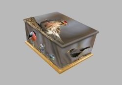 colored sparrow print casket