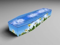 blue colored printed casket
