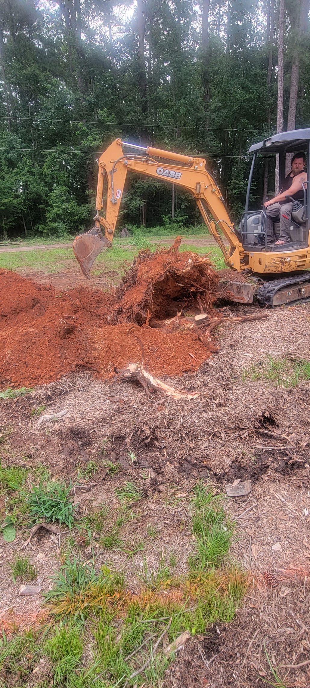 A yellow excavator digs in a dirt area near trees; a person is in the driver's seat.