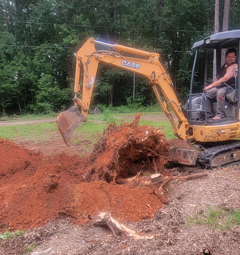 A person operates a yellow CASE excavator to remove a tree stump in a grassy area with red soil.