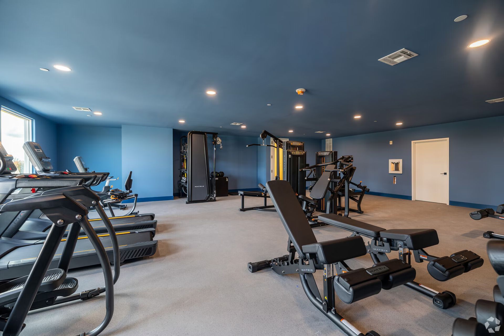 Gym interior with treadmills, weight machines, and a bench; blue walls and ceiling.