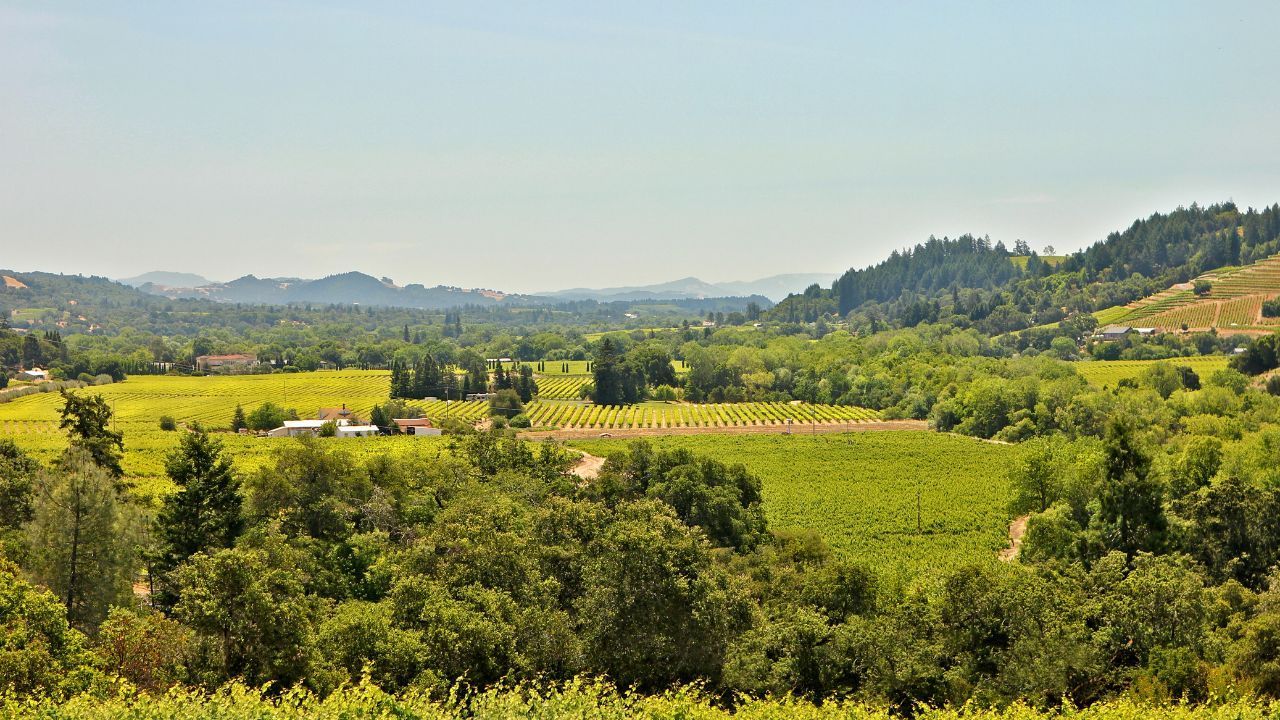 Glen Ellen