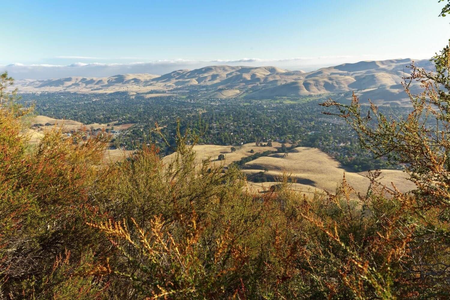 Concord