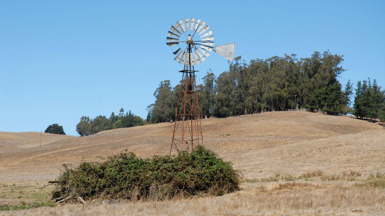 Cotati