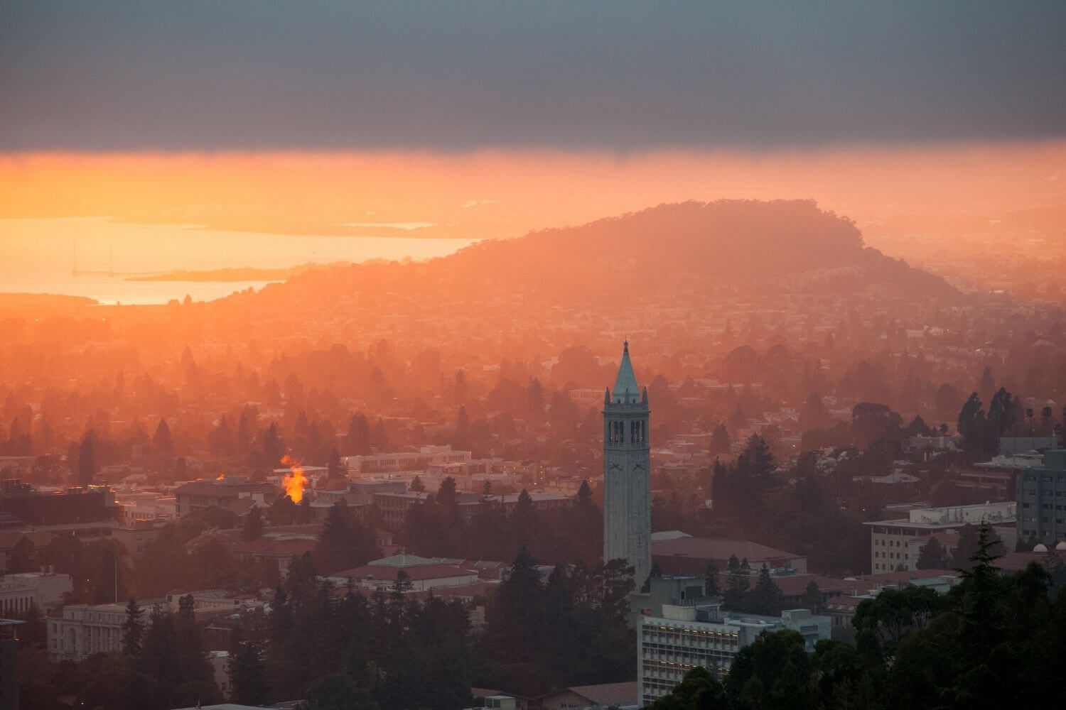 Berkeley