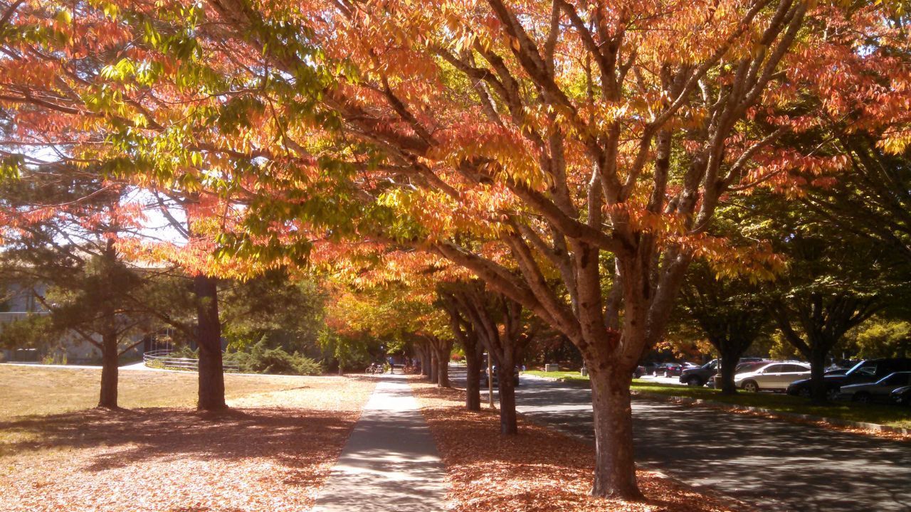 Rohnert Park