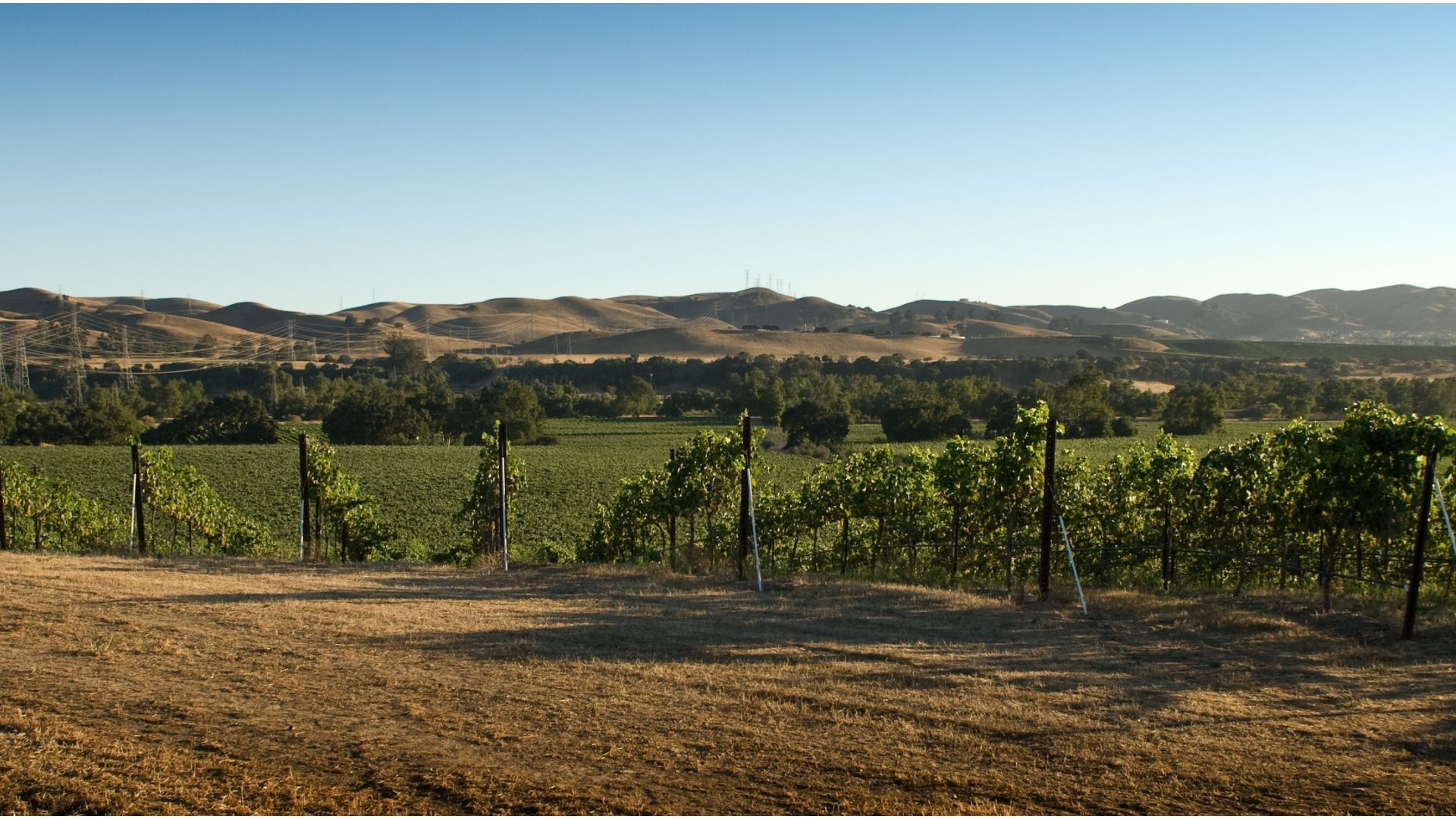 Livermore