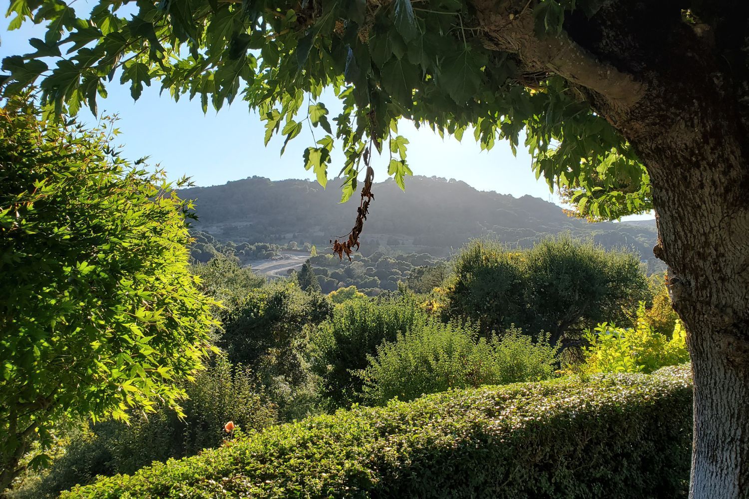 Orinda