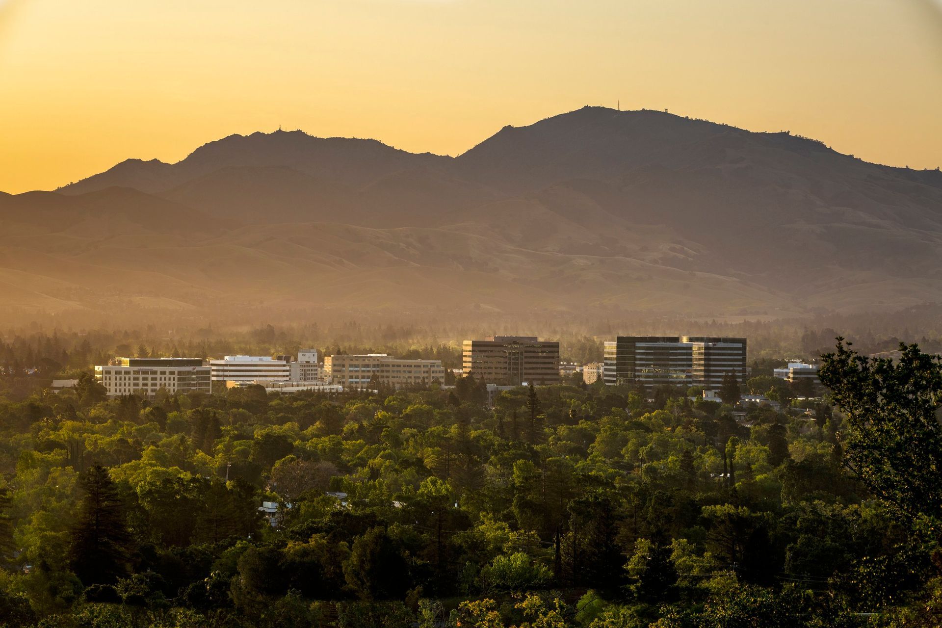 Walnut Creek