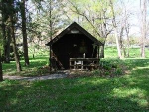 A dark wooden open-sided shed sits in a grassy, sunlit grove of trees.