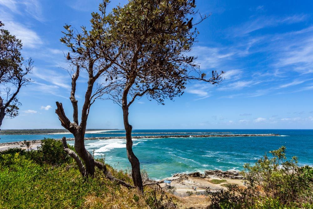 A View of The Ocean from A Cliff with Trees in The Foreground — A M Conveyancing Pty Ltd In Northern Rivers, NSW