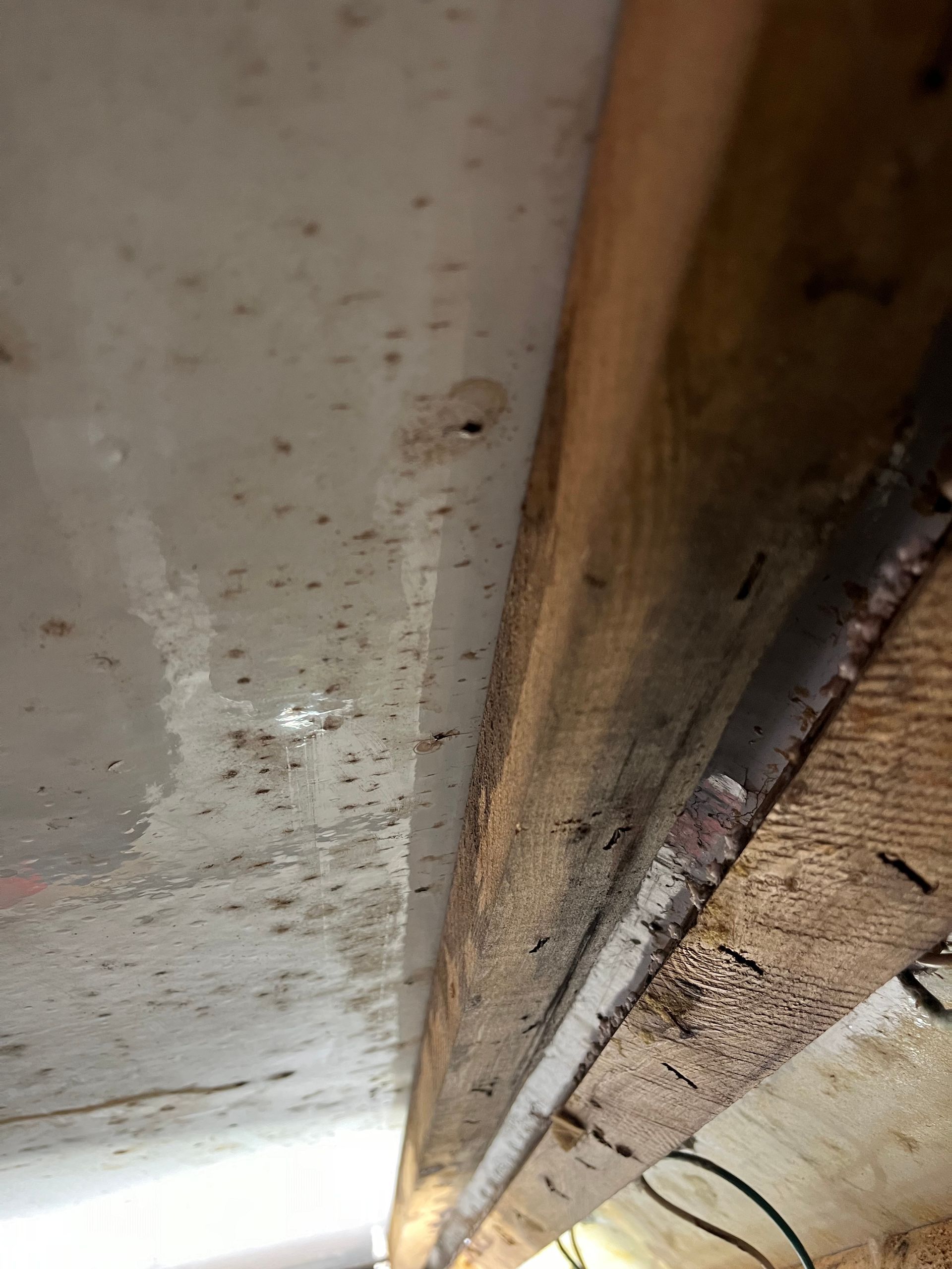 Close-up of a damp, stained ceiling with visible mold and a wooden beam.