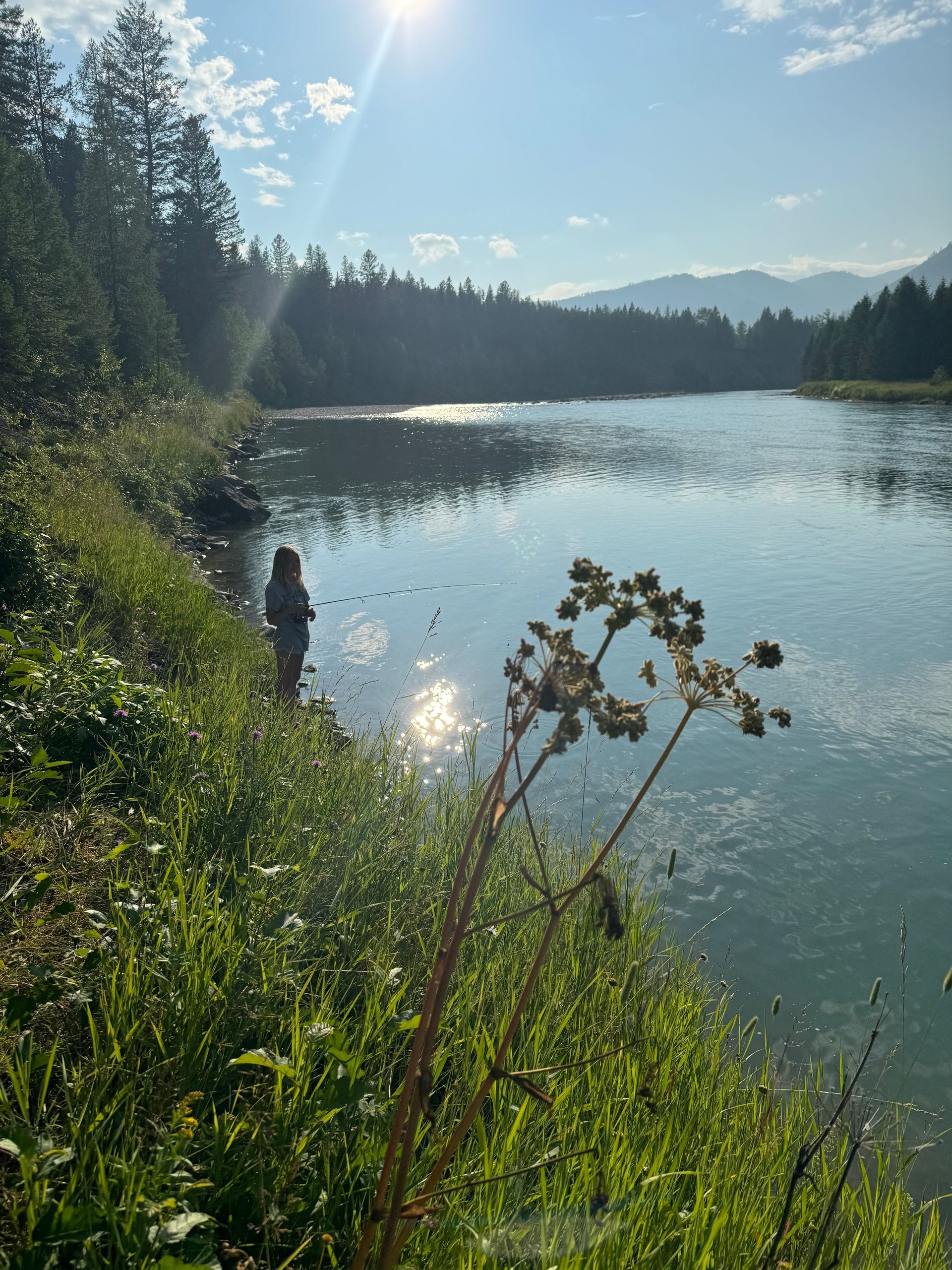 A person fishing by a river in a sunny, wooded area.