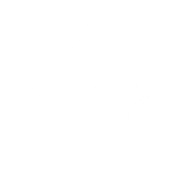 Logo for Z Aesthetic Dermatology in Baton Rouge and Prairieville