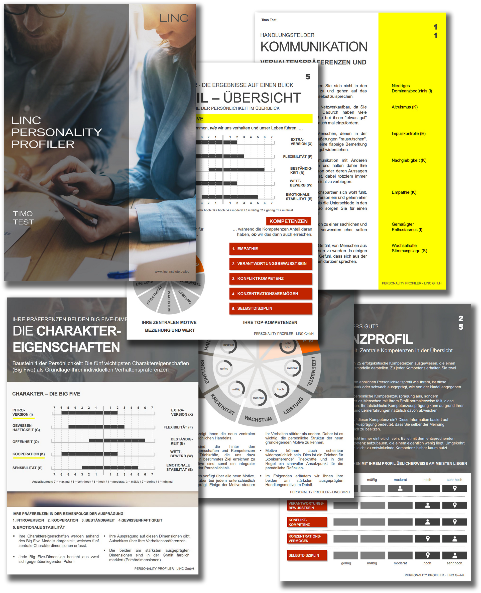 LINC Personality Profiler Übersicht der Auswertung LINC Personality Profiler Übersicht der Auswertung