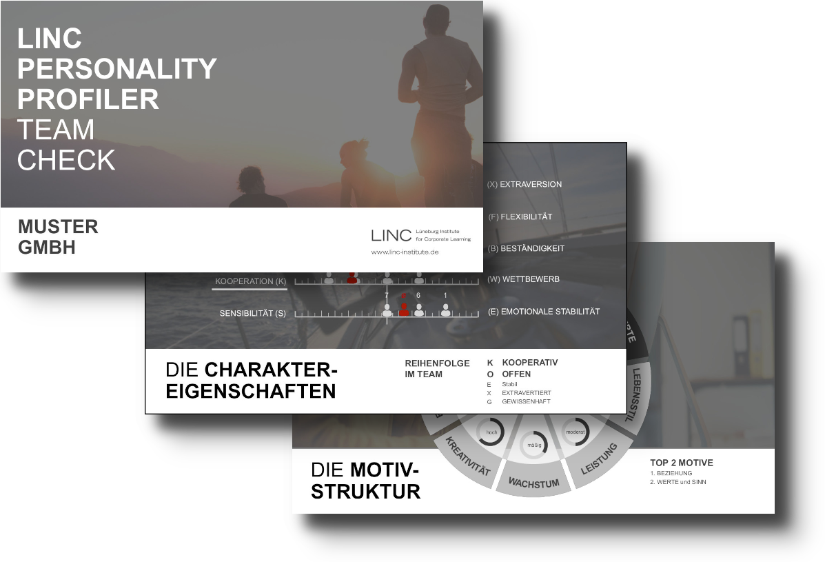 LPP Team Check LINC Personality Profiler Team Check: Einblicke in den Aufbau