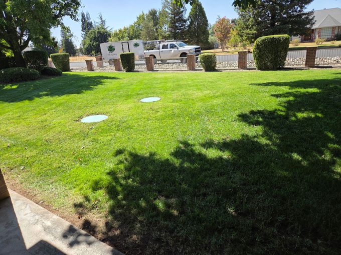 Regular mowing services in Sacramento Valley by Absolute Lawn Care