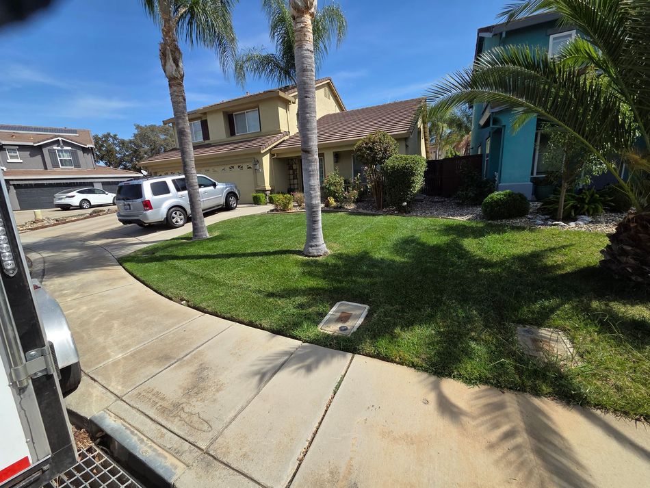 Regular lawn care services in Sacramento Valley by Absolute Lawn Care
