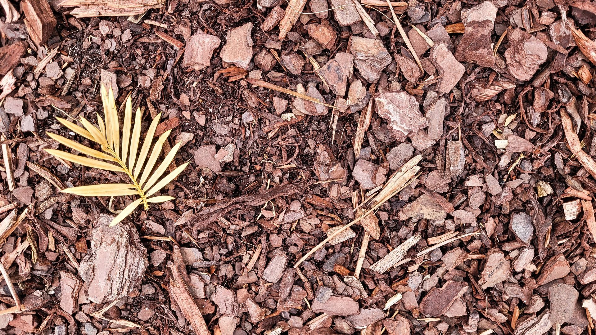 Mulch Installation