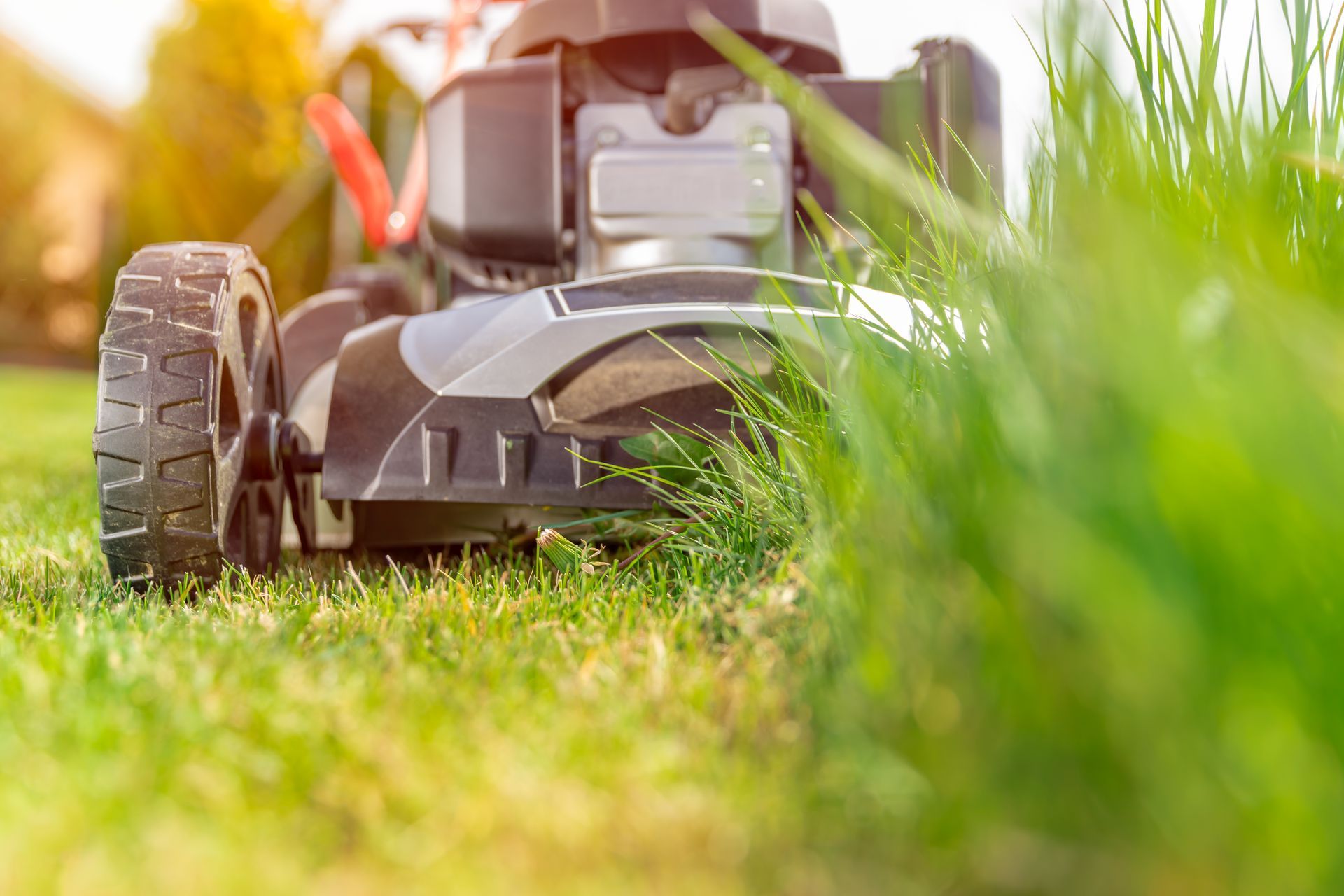 lawn mower cutting grass in a sunny yard
