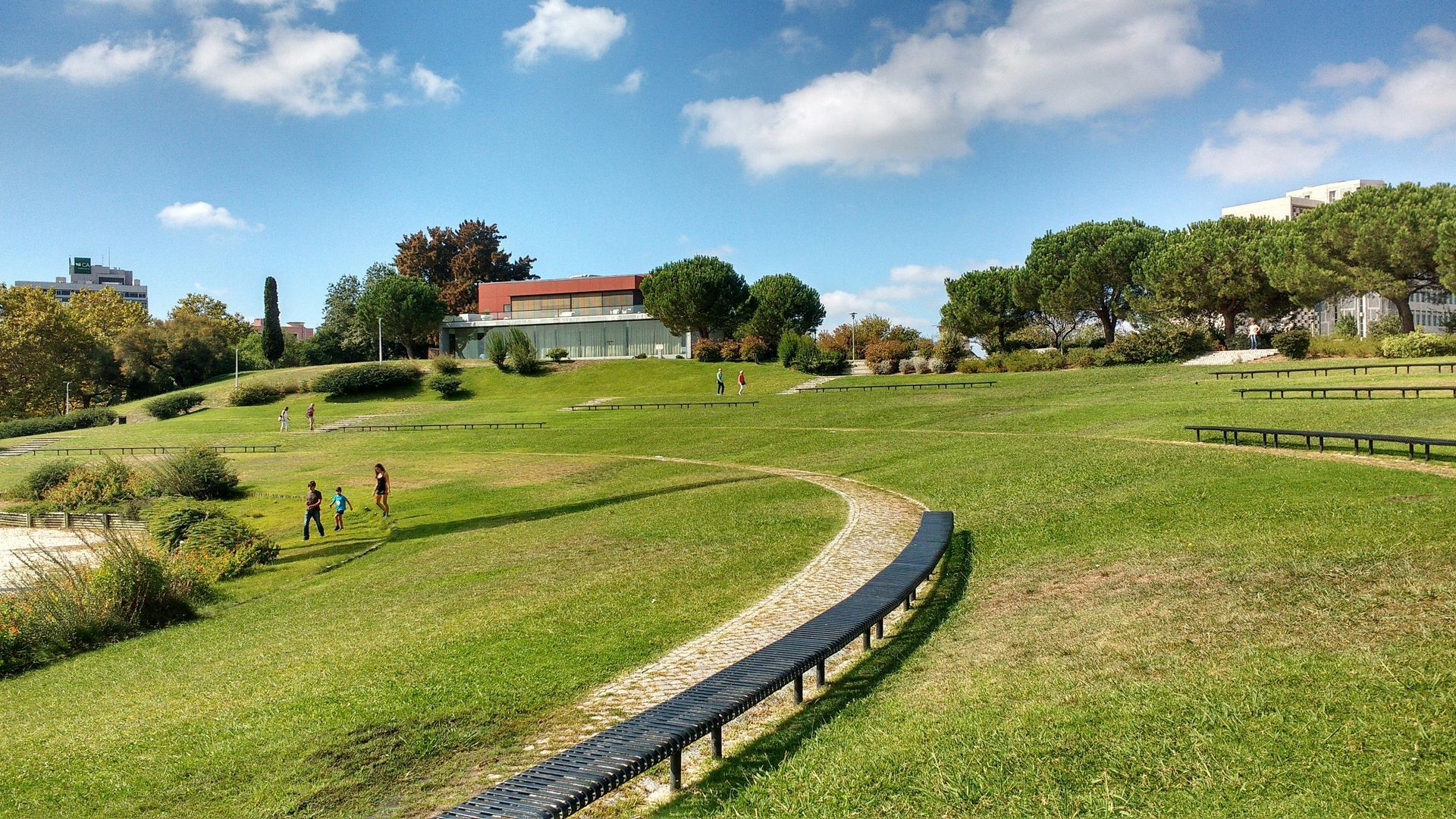 A lawn with visibile brown spots