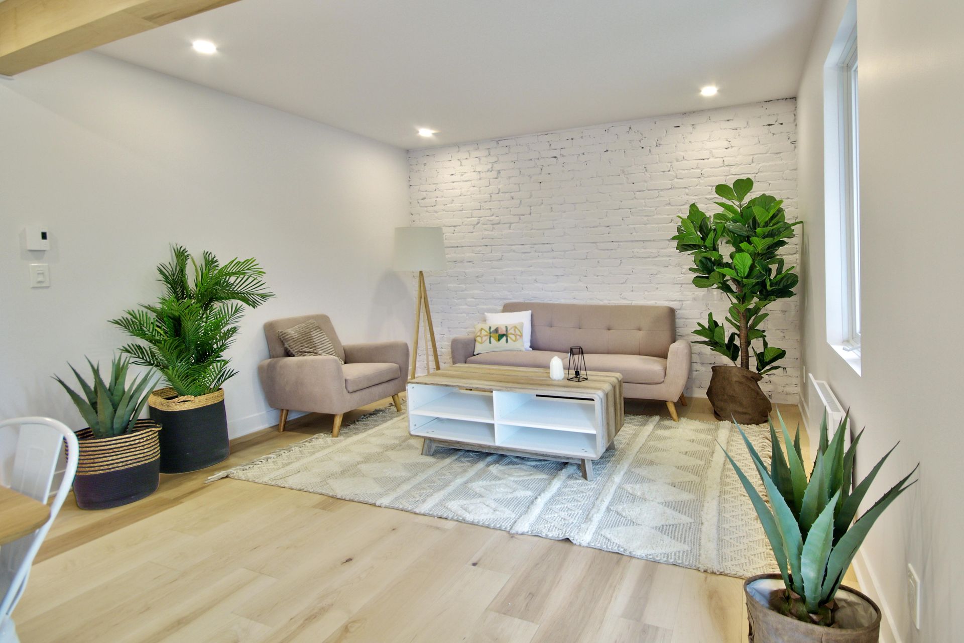 A living room with a couch , chair , coffee table and potted plants.