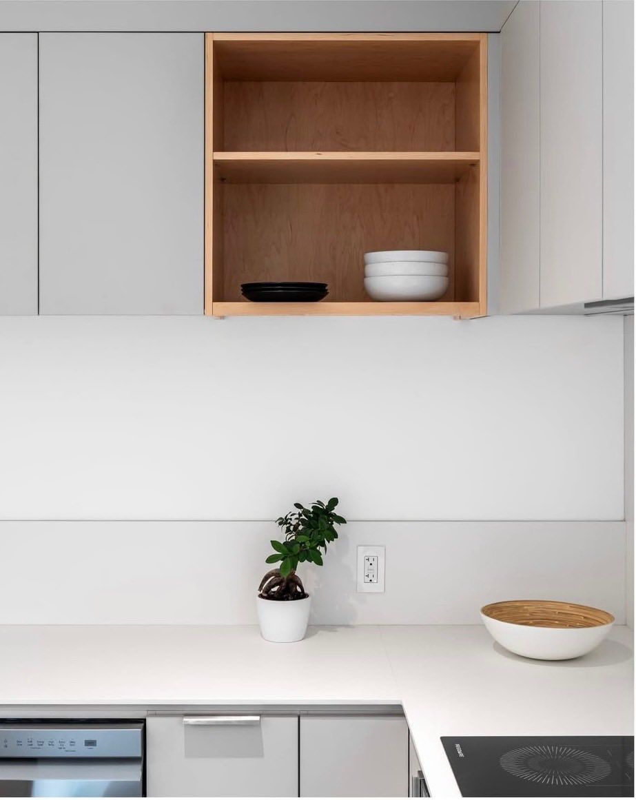 A kitchen with a potted plant on the counter