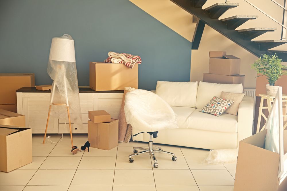 Moving Boxes and Furniture in a Room — The Move It Man In Bentley Park, QLD