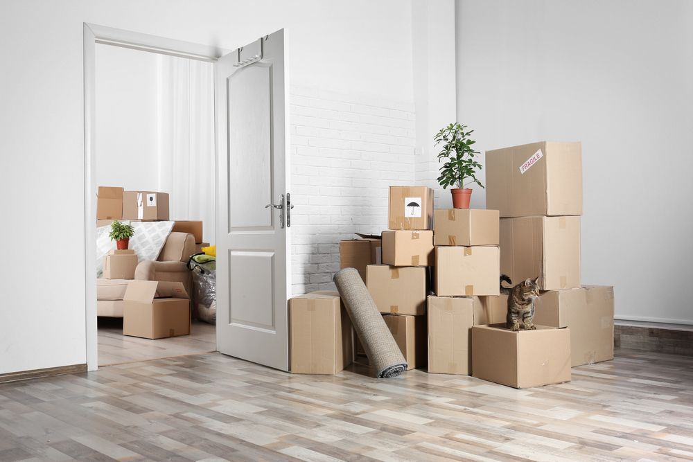 Boxes Stacked in Empty Room — The Move It Man In Innisfail, QLD