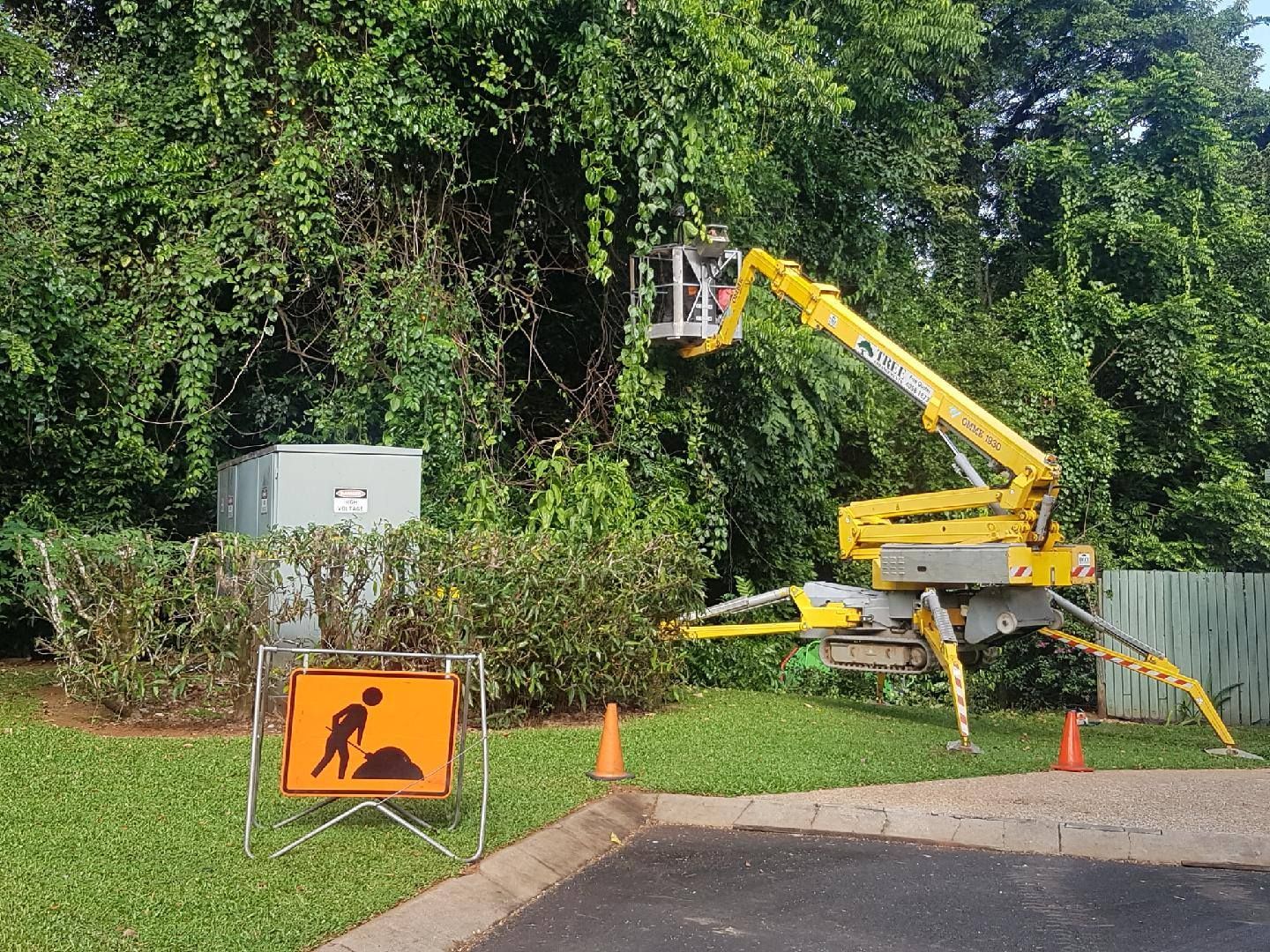 Tree Crain Resources | Tree Arrangements