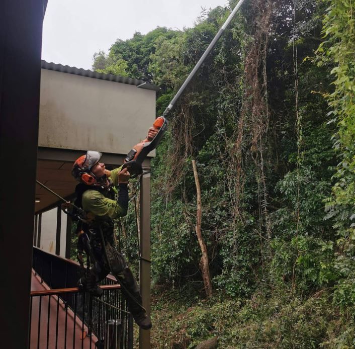 A Man Is Cutting A Tree With A Chainsaw — Tree Arrangements in Stratford, QLD