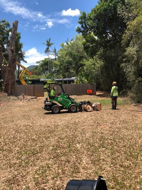 A Green Tractor Is Parked In The Middle Of A Field — Tree Arrangements in Stratford, QLD