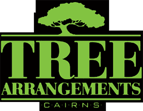 Professional Arborists In Cairns Professional Arborists In Cairns