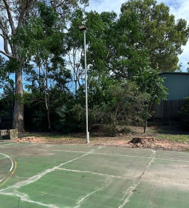 A green sports court with a tall light pole, trees, and a building in the background — Tree Arrangements in Stratford, QLD 