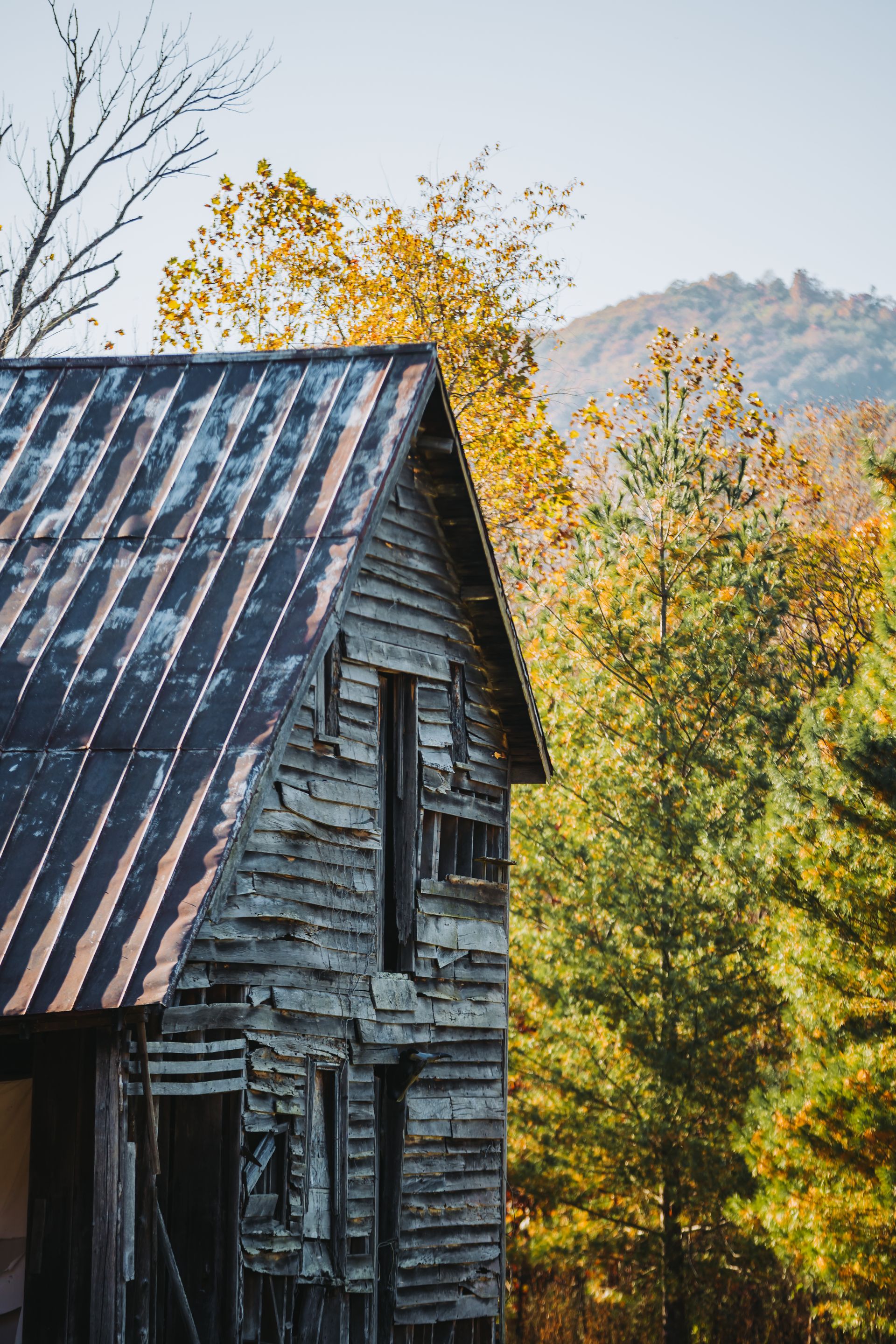 Balcony Downs Venue & Retreat Buena Vista, VA