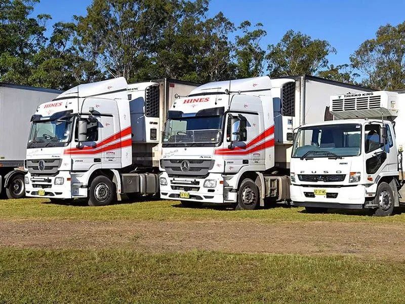 Three White Trucks With Red Stripes Parked on a Grassy Field — Hines Logistic Pty Ltd In Armidale, NSW
