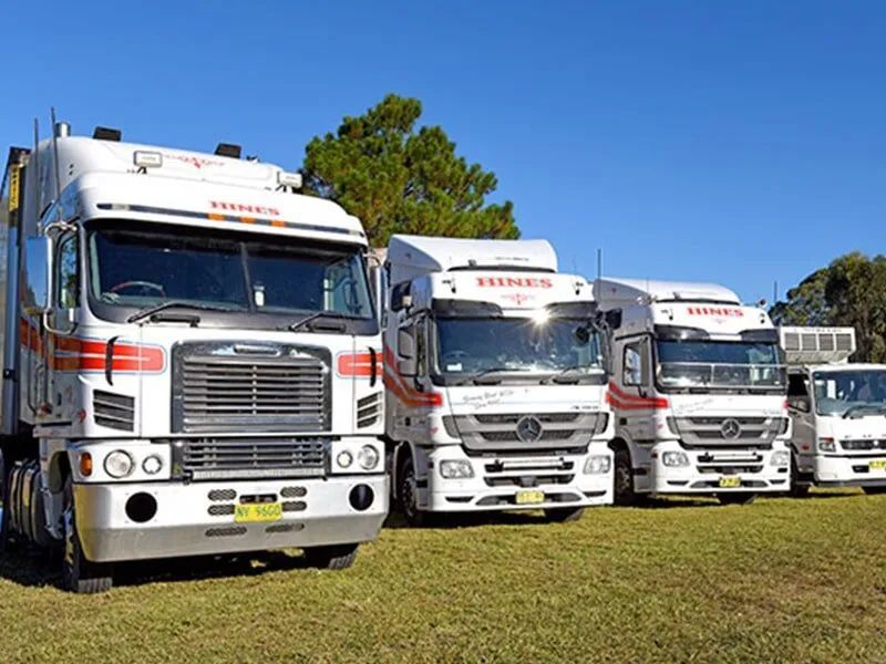 Four White Trucks With Red Stripes Parked on Grass — Hines Logistic Pty Ltd In Port Macquarie, NSW