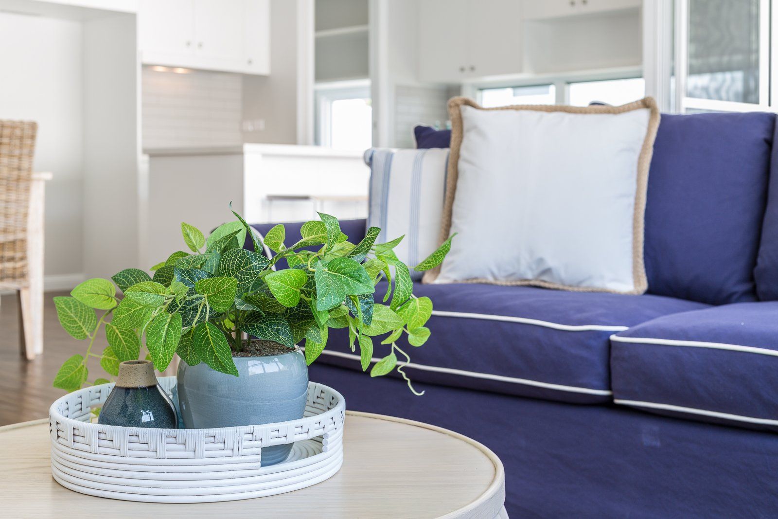 A living room with a blue couch and a plant on a table.