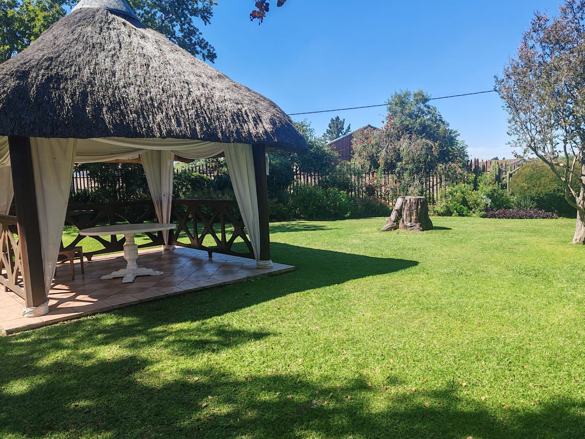 Thatched gazebo with white curtains on a sunny green lawn, with trees and a clear blue sky.