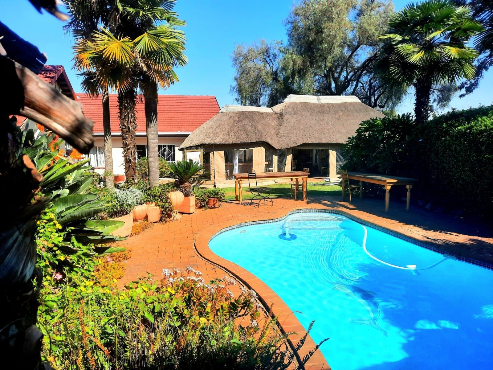 Sunny backyard with a blue swimming pool, thatched patio, and lush tropical plants